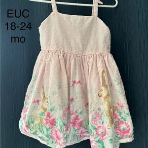 Janie and Jack Pink Floral Bunny Sundress